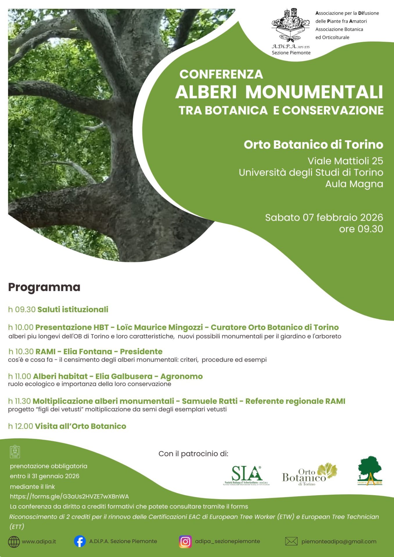 Alberi Monumentali tra botanica e conservazione: conferenza presso Orto Botanico di Torino