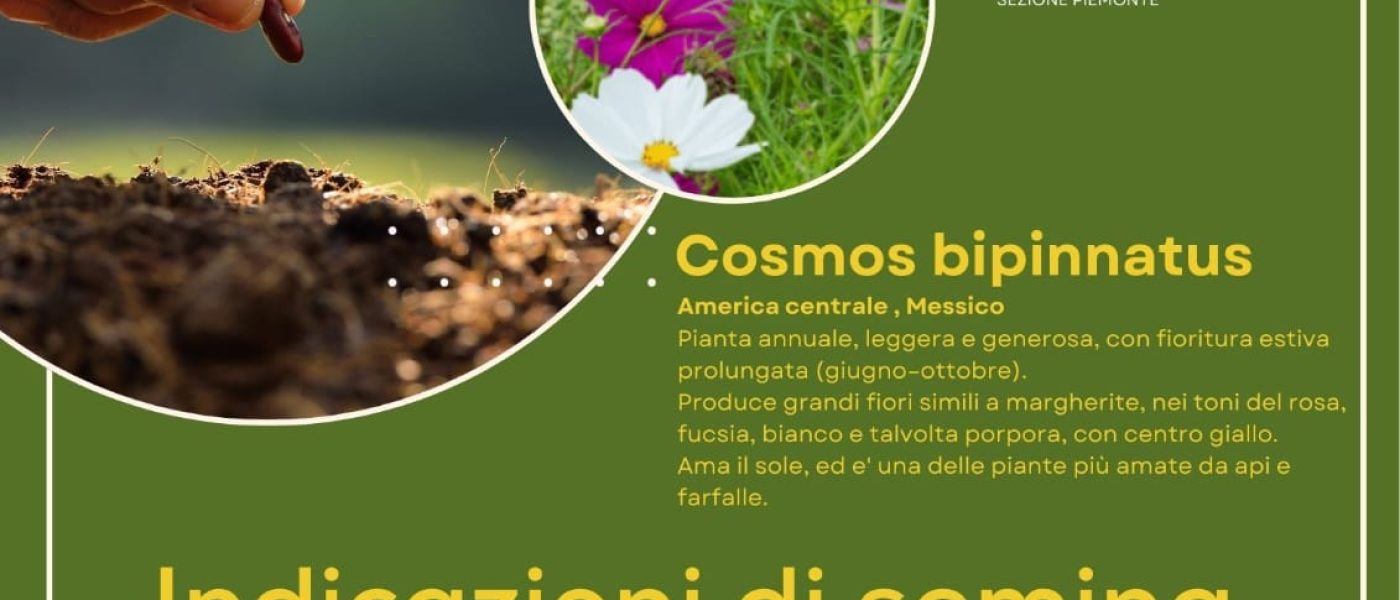 A.Di.P.A. Sezione Piemonte e Michelin per la Giornata della Natura 2026