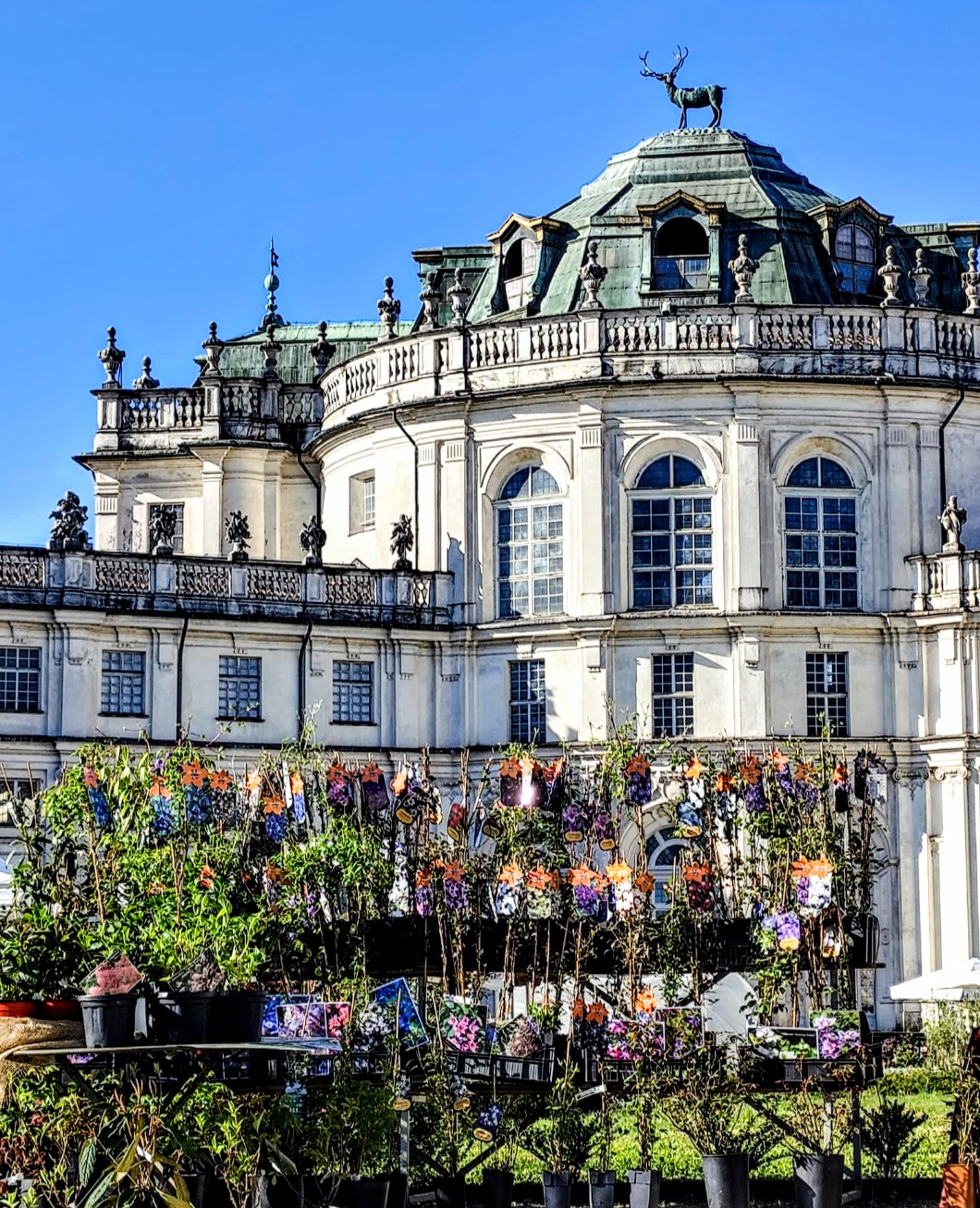 Anteprimafloreal a Stupinigi …ed il suo Parco restaurato