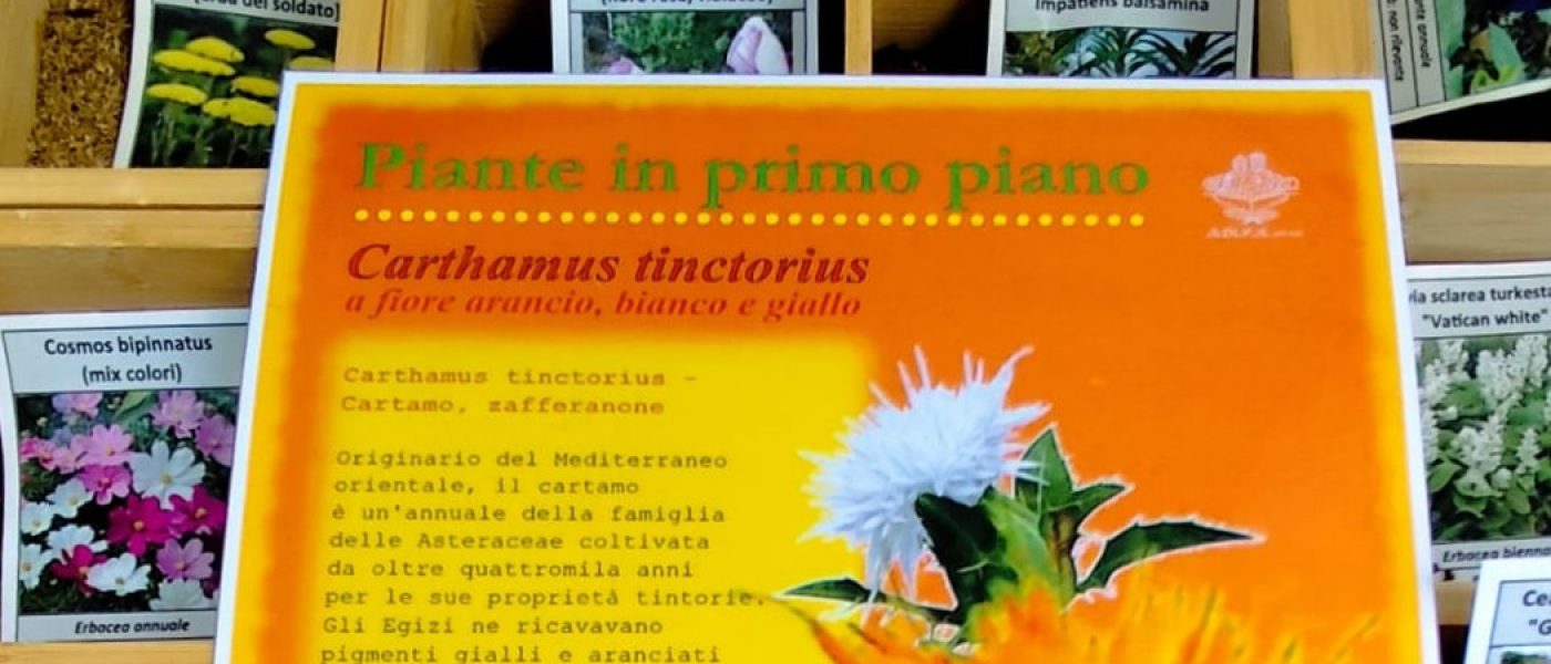 Tre giorni a Masino