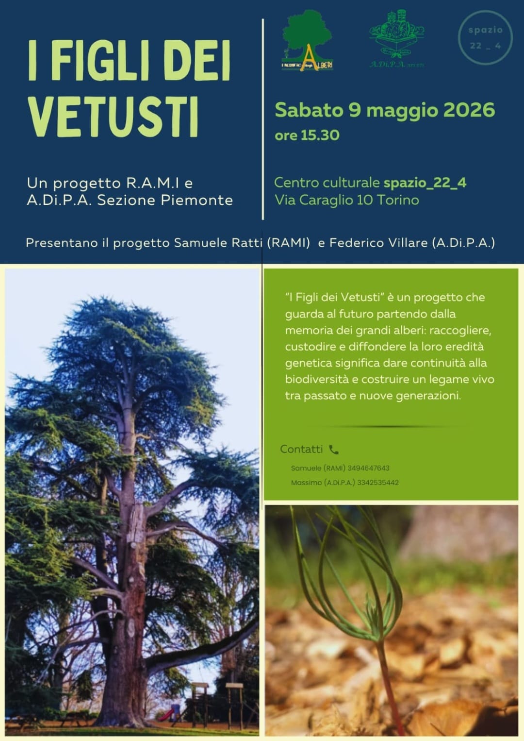 Un pomeriggio dedicato agli alberi