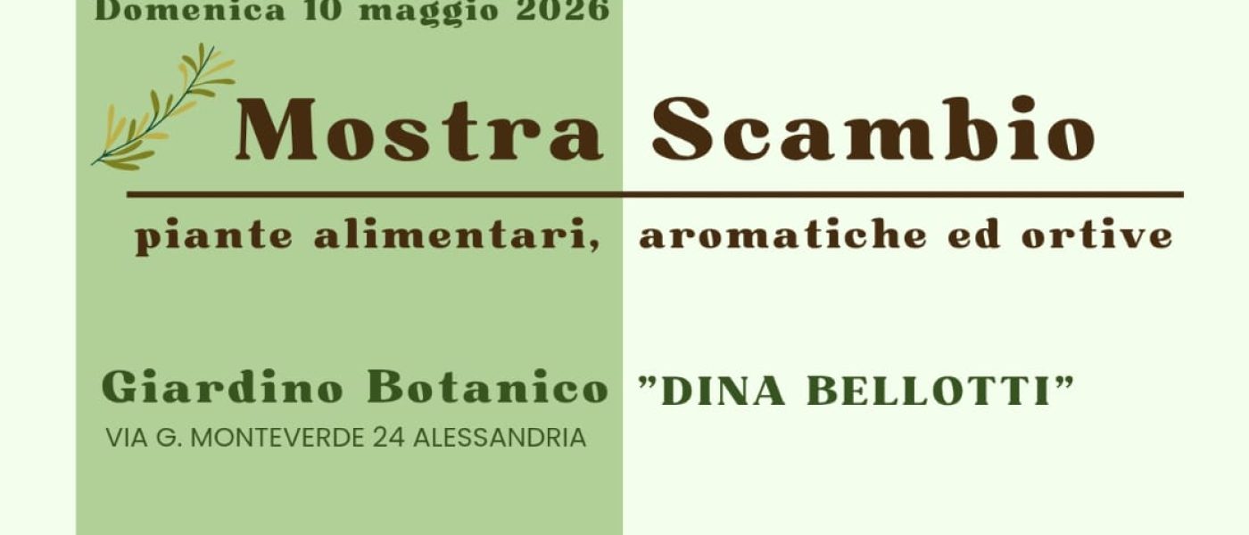Mostra Scambio ad Alessandria