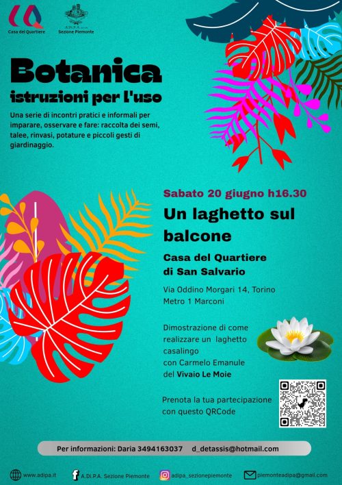 Voglia di fresco sul terrazzo: pensiamo ad un mini pond!