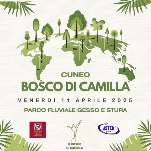 A.Di.P.A. Sezione Piemonte: uno sguardo sul futuro