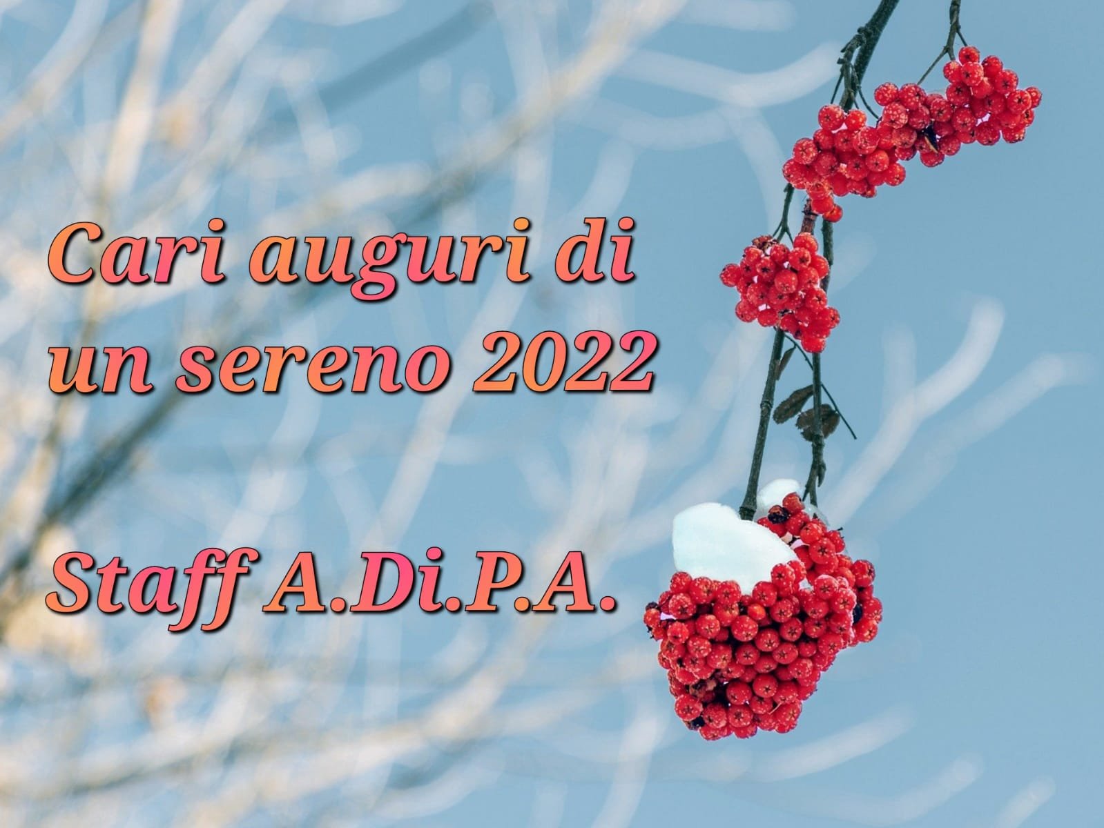 Chiusura festività natalizie A.Di.P.A. Lucca