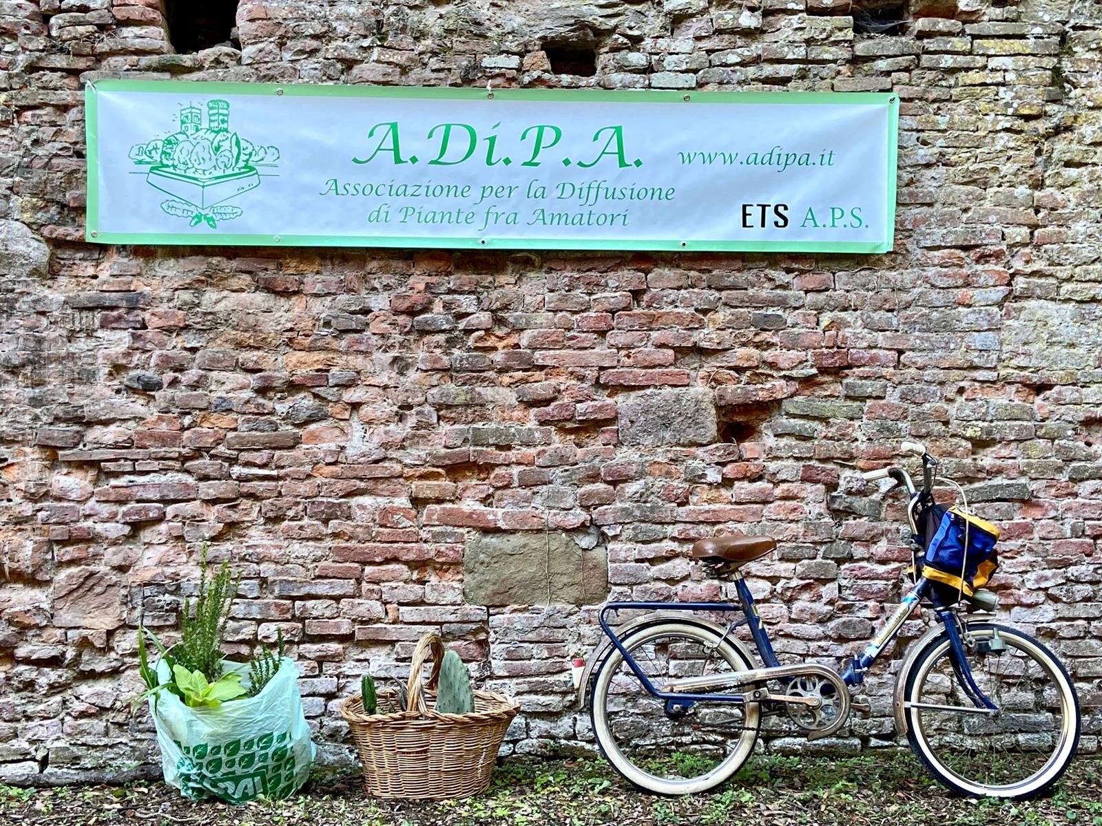 A.Di.P.A. Sede Centrale: Mostra-Scambio di autunno 2023