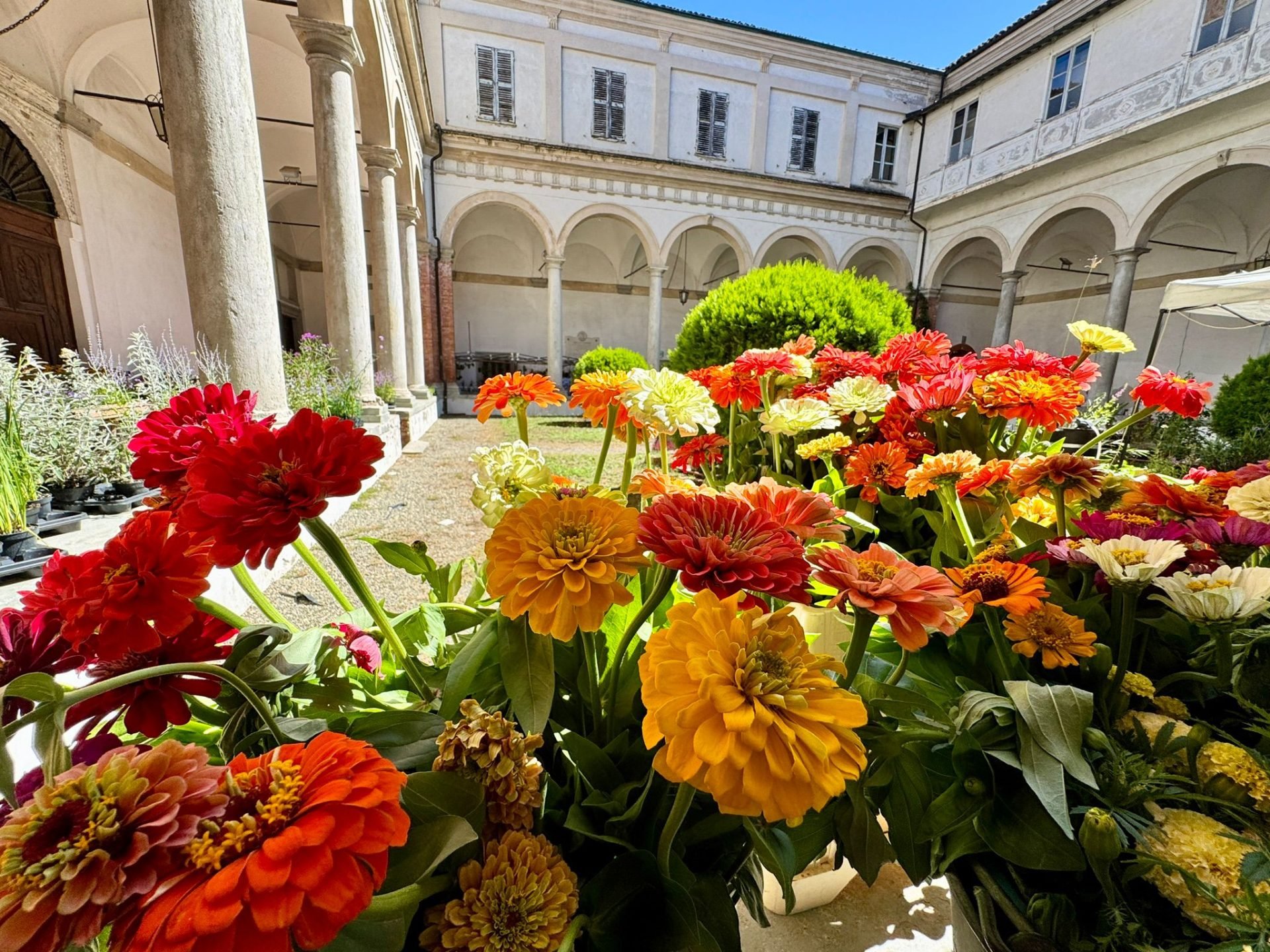 Doppio appuntamento per A.Di.P.A. Sezione Piemonte a fine agosto!!!