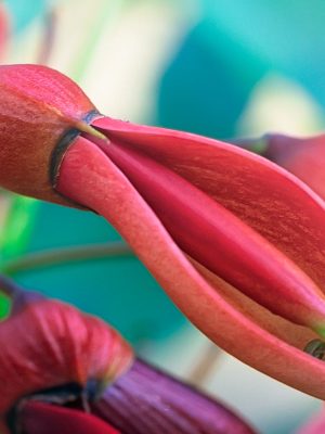 MOSTRA – SCAMBIO AUTUNNALE per A.Di.P.A. Sezione Piemonte