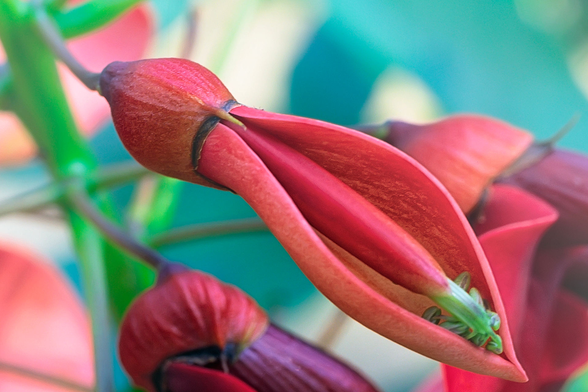MOSTRA – SCAMBIO AUTUNNALE per A.Di.P.A. Sezione Piemonte