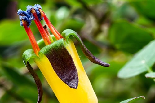 Fucsie al Bar Pietro con A.Di.P.A. Sezione Piemonte