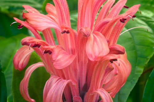 A.Di.P.A. Sezione Piemonte a Ovada