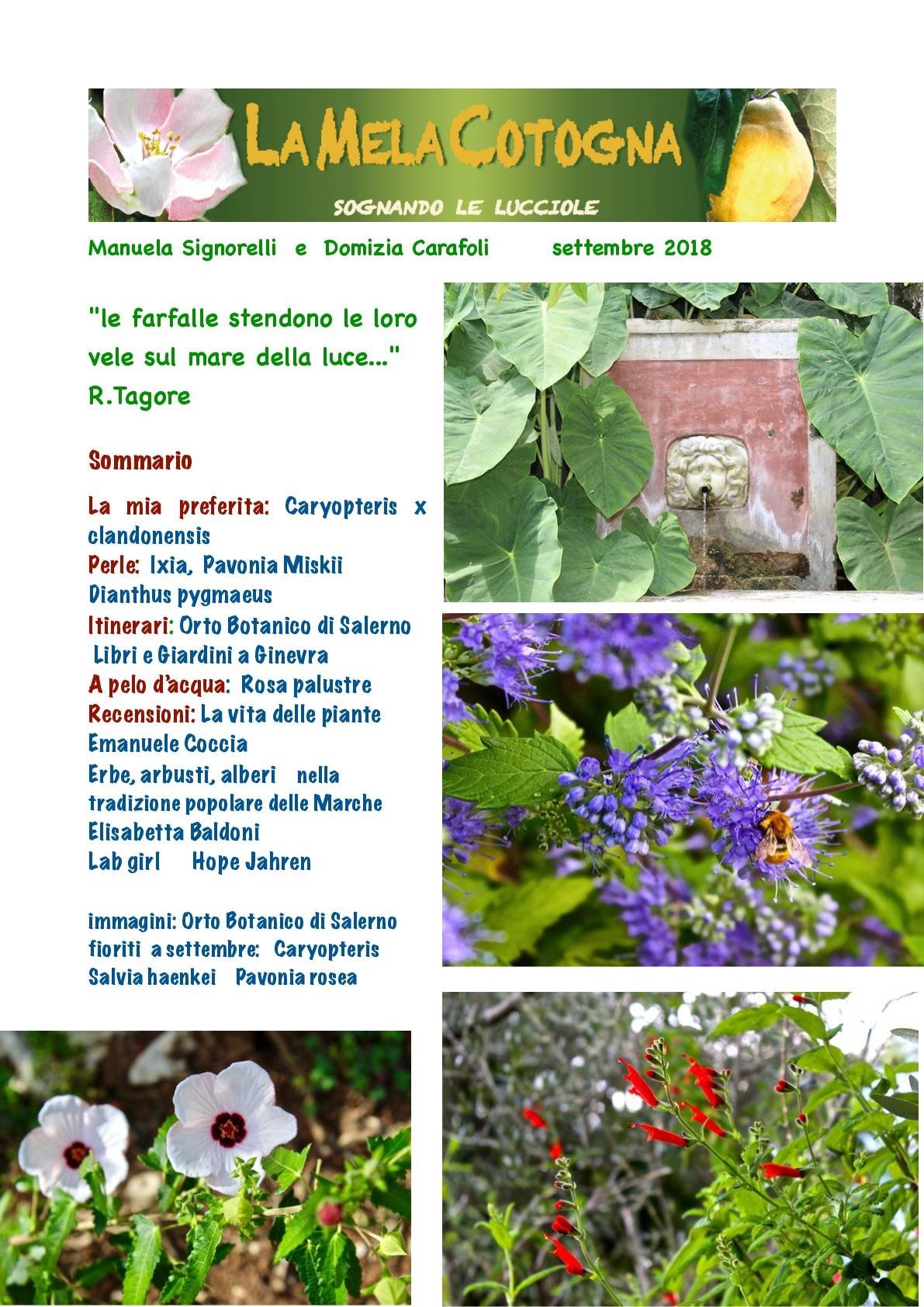 Mela Cotogna Settembre 2018 – Rivista A.Di.P.A. Lombardia