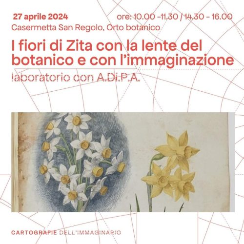I Fiori di Santa Zita!!! Laboratorio per giovani artisti botanici!