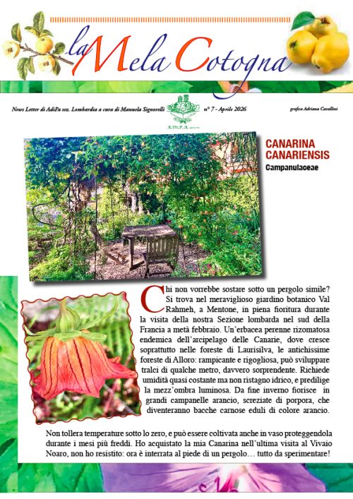 La Mela Cotogna n. 7 – Aprile 2026