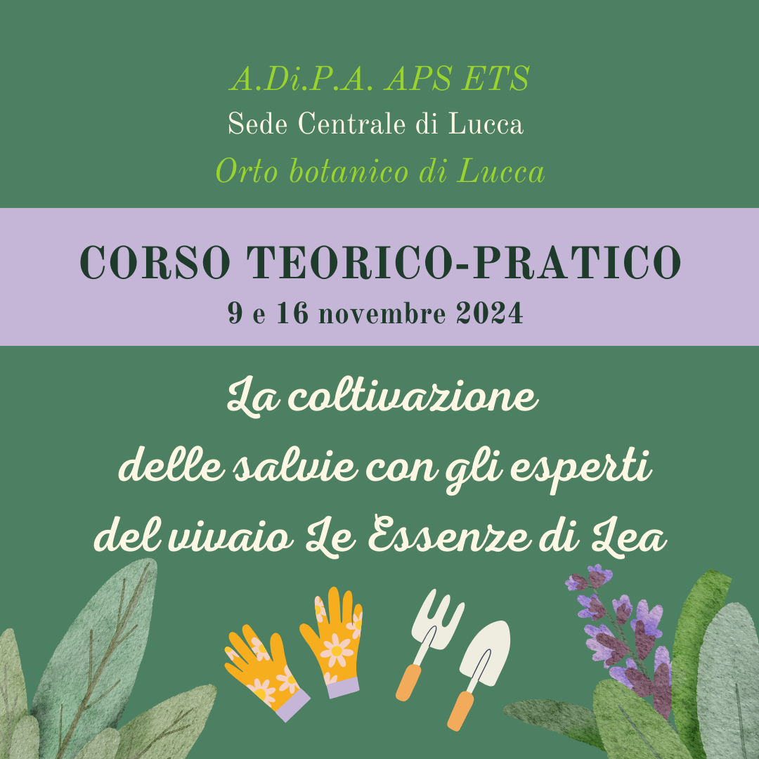 A.Di.P.A. Sede Centrale: Corso TEORICO – PRATICO sulla coltivazione delle SALVIE