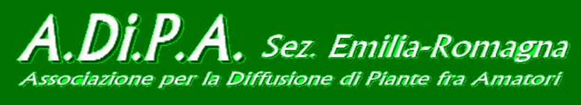 Attività 2018 – Emilia Romagna
