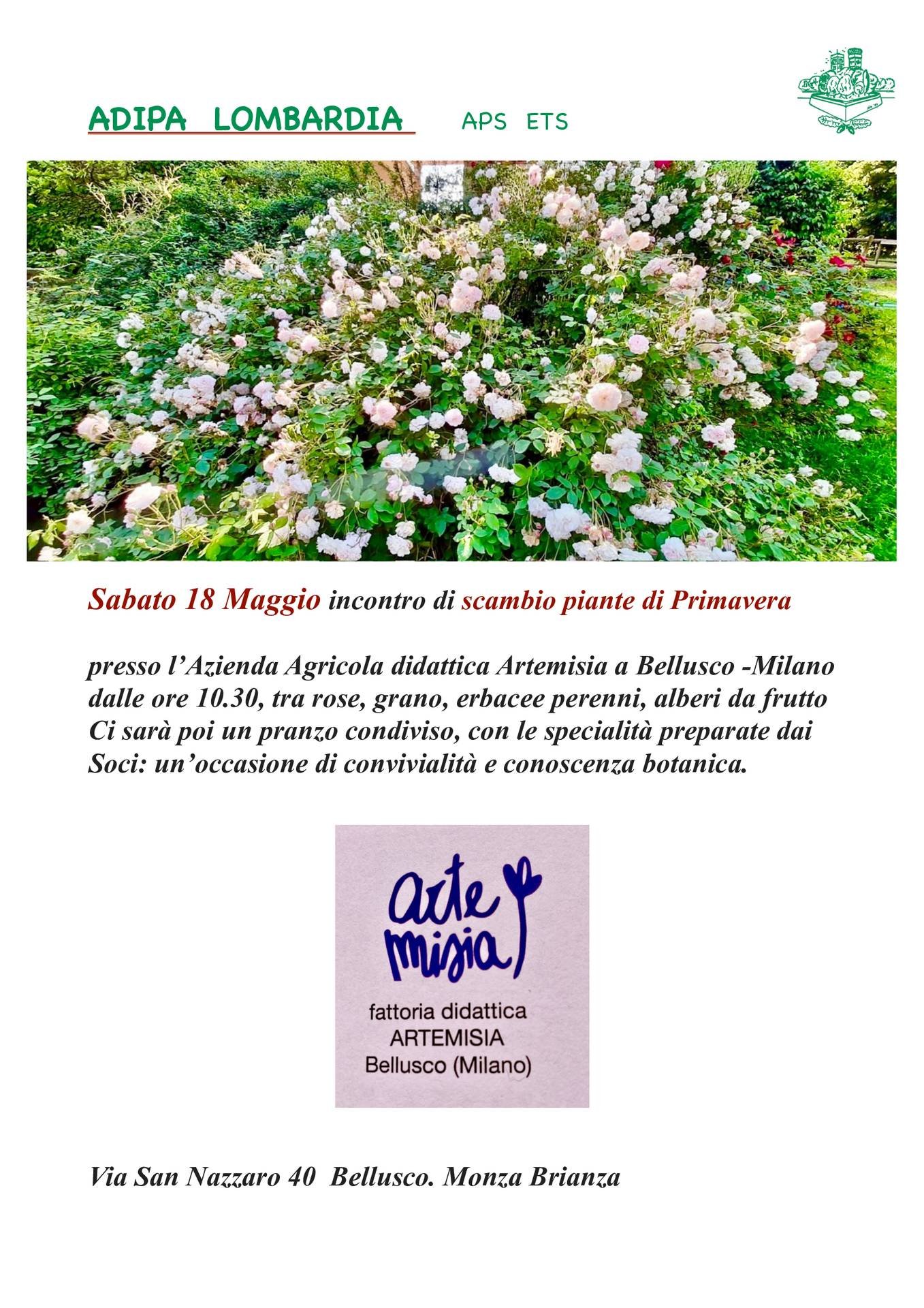 A.Di.P.A. Sezione Lombardia: MOSTRA SCAMBIO di PRIMAVERA