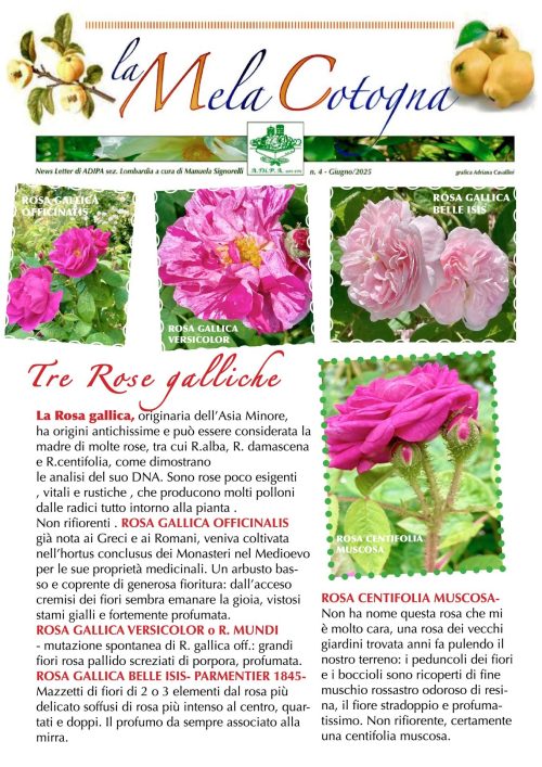 A.Di.P.A. Sezione Lombardia: newsletter di giugno!