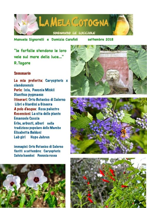 Mela Cotogna Settembre 2018 – Rivista A.Di.P.A. Lombardia