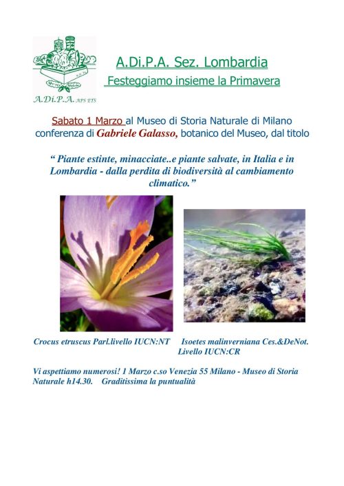 A.Di.P.A. Sezione Lombardia: conferenza a cura del Dott. G. Galasso