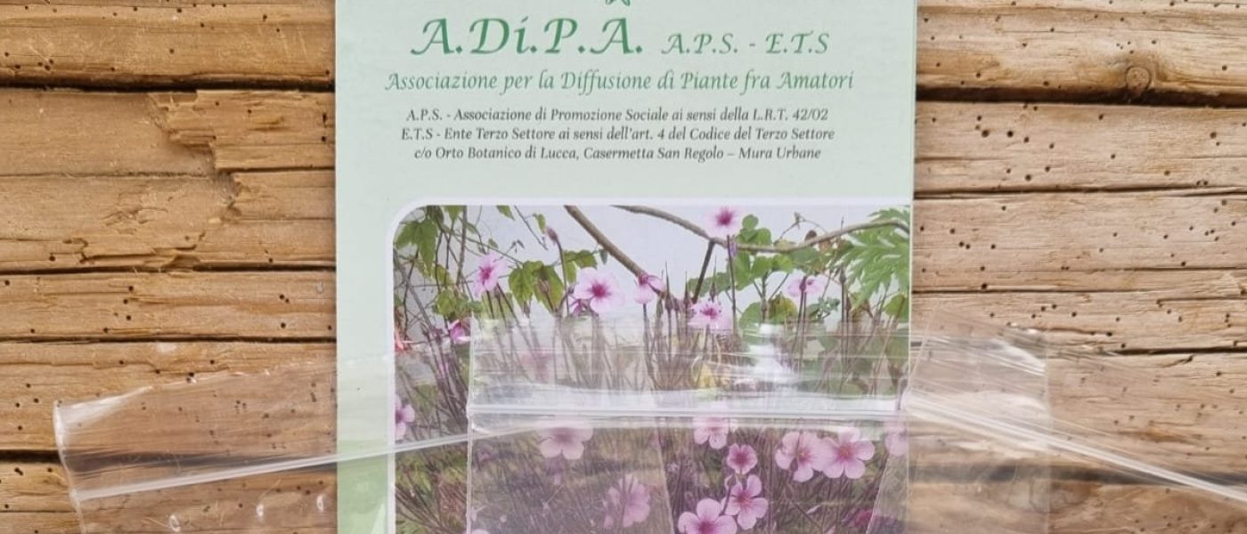 SEMI A.Di.P.A. nella CAPSULA del TEMPO