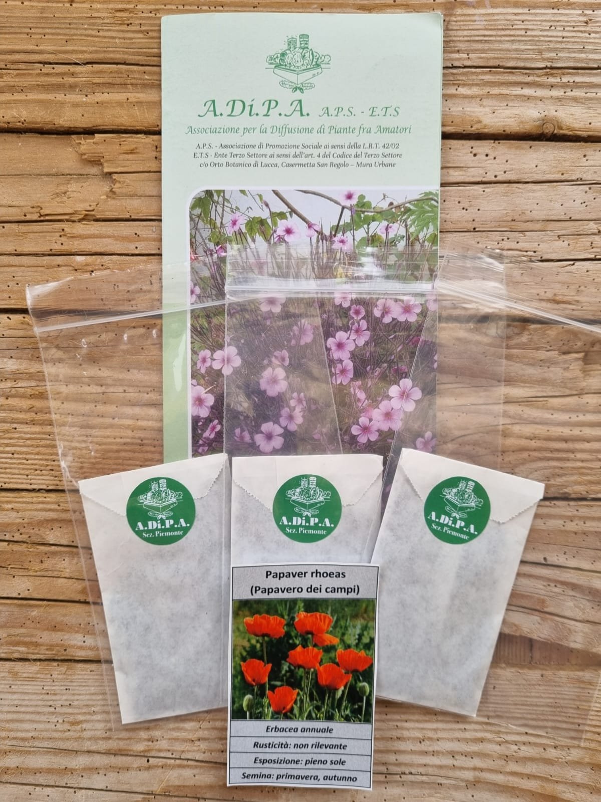 SEMI A.Di.P.A. nella CAPSULA del TEMPO