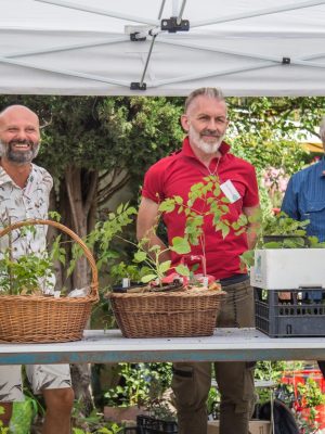 A.Di.P.A. Sezione Piemonte Mostra – Scambio di PRIMAVERA