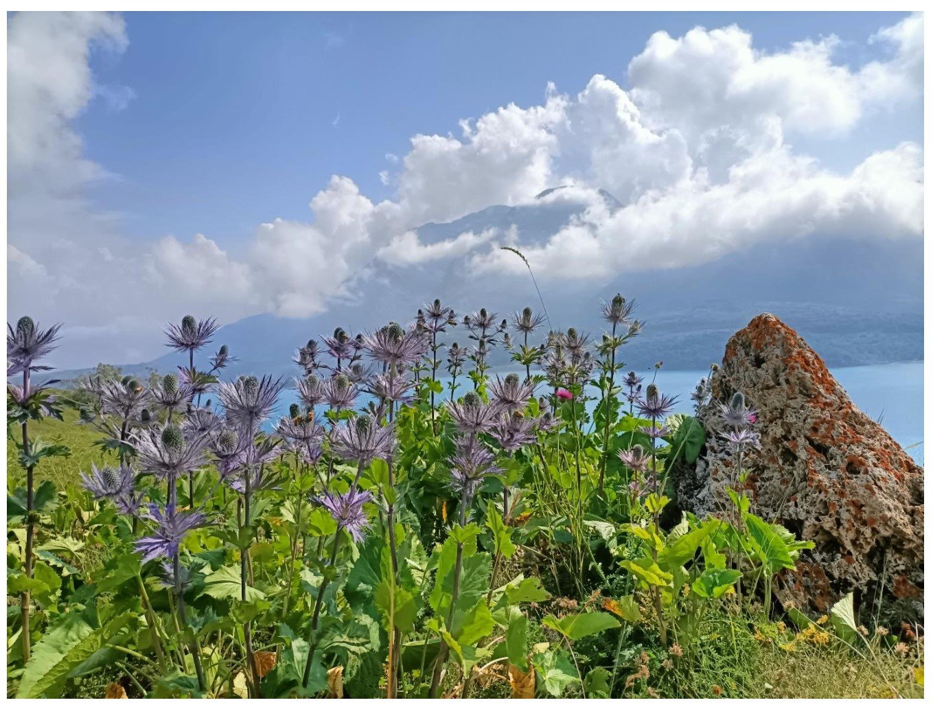 A.Di.P.A. Sezione Piemonte: una splendida giornata a Moncenisio!!!