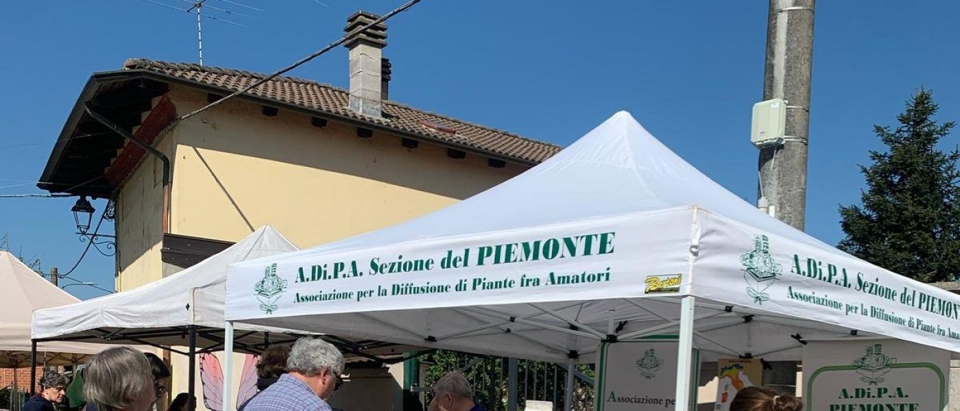 A.Di.P.A. Sezione Piemonte: *Frascaro diventa un giardino*