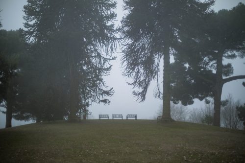 A.Di.P.A. Sezione Piemonte ospite al “RAMI – Registro degli Alberi Monumentali Italiani”