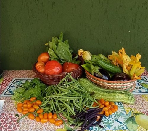 A.Di.P.A. Sezione Piemonte su “Targato CN” quotidiano on-line