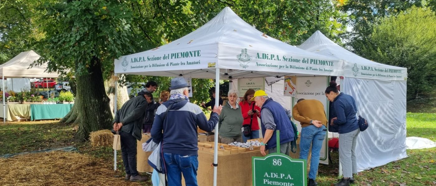 A.Di.P.A. Sezione Piemonte: ottobre a MASINO