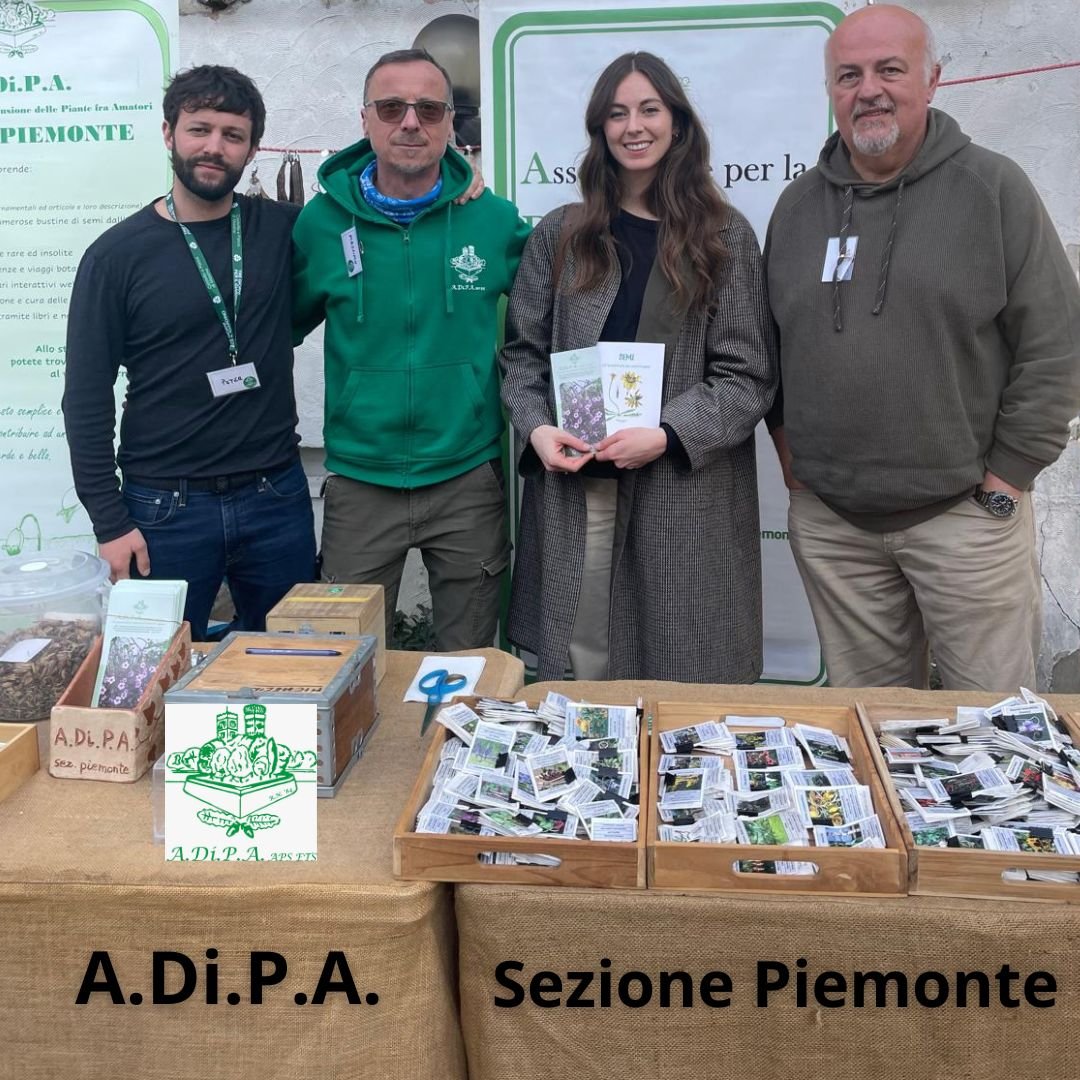 A.Di.P.A. Sezione Piemonte: pomeriggio di SCAMBIO e DONO