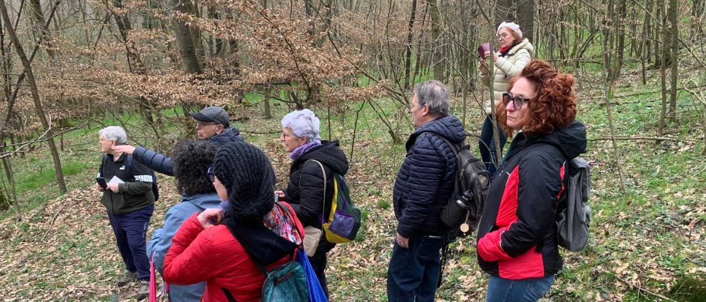 A.Di.P.A. Sezione Piemonte: ancora boschi, ancora fiori spontanei!!!