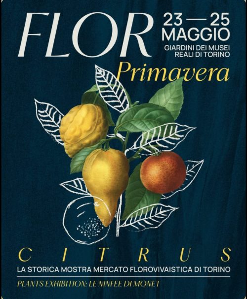 Tre manifestazioni nel fine settimana per A.Di.P.A. Sezione Piemonte