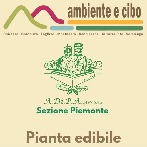 A.Di.P.A Sezione Piemonte a Chivasso (TO)