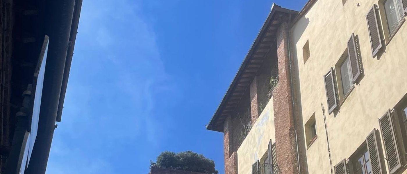 A.Di.P.A. Sezione Piemonte in trasferta a Lucca
