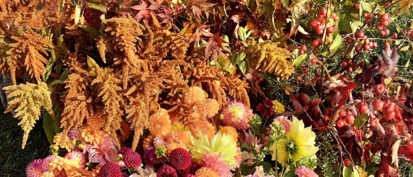 A.Di.P.A. Sezione Piemonte: AUTUNNO a MASINO