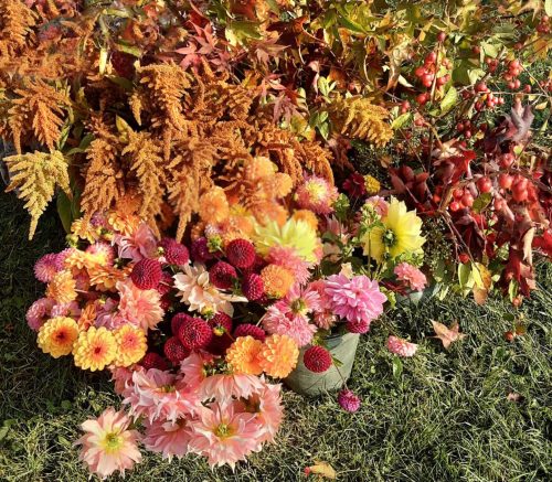 A.Di.P.A. Sezione Piemonte: AUTUNNO a MASINO