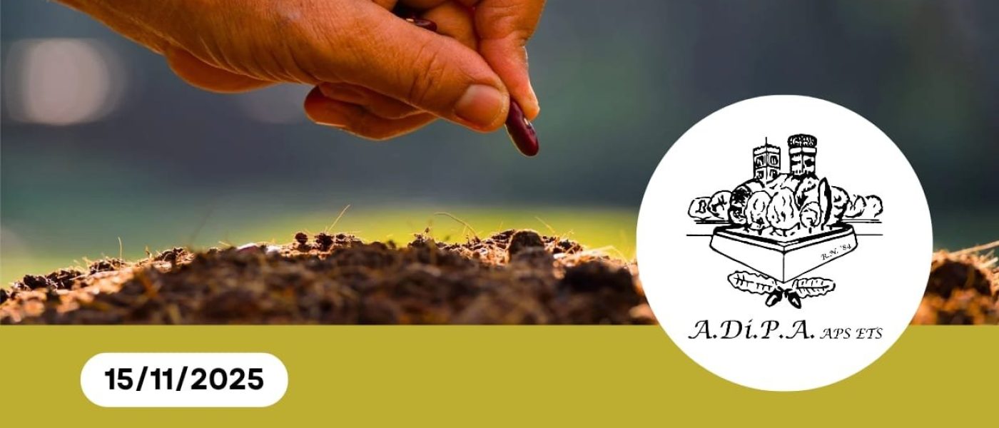 Riunione di fine anno 2025 – A.Di.P.A. Sezione Piemonte