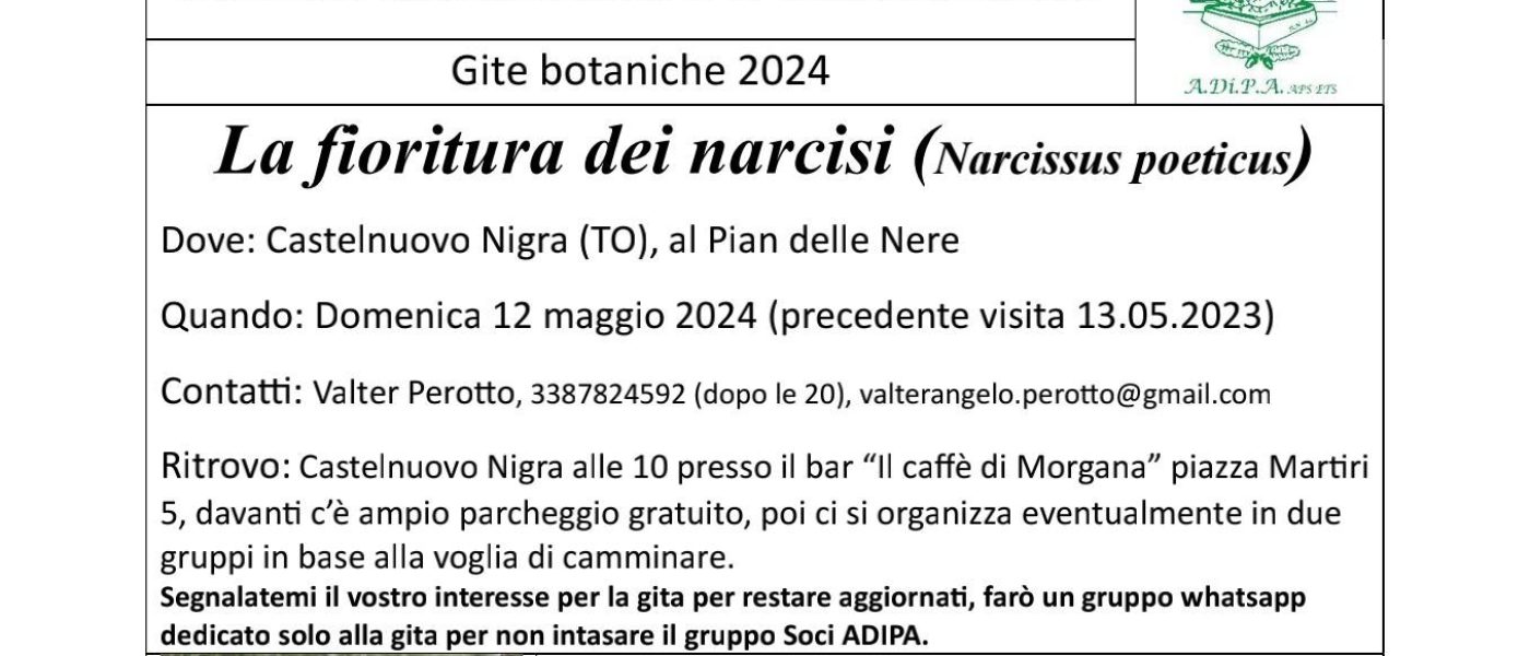 A.Di.P.A. Sezione Piemonte: a spasso tra i NARCISI!!!