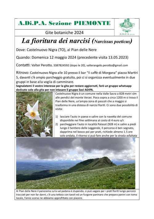A.Di.P.A. Sezione Piemonte: a spasso tra i NARCISI!!!