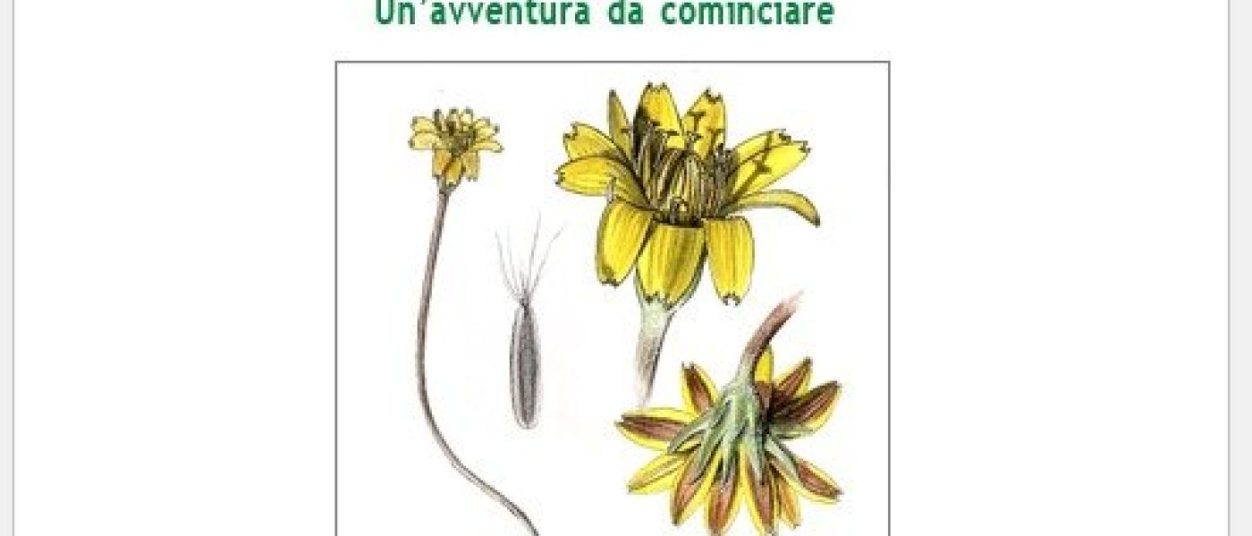 A.Di.P.A. Sezione Piemonte presenta: “SEMI. Un’avventura da cominciare”