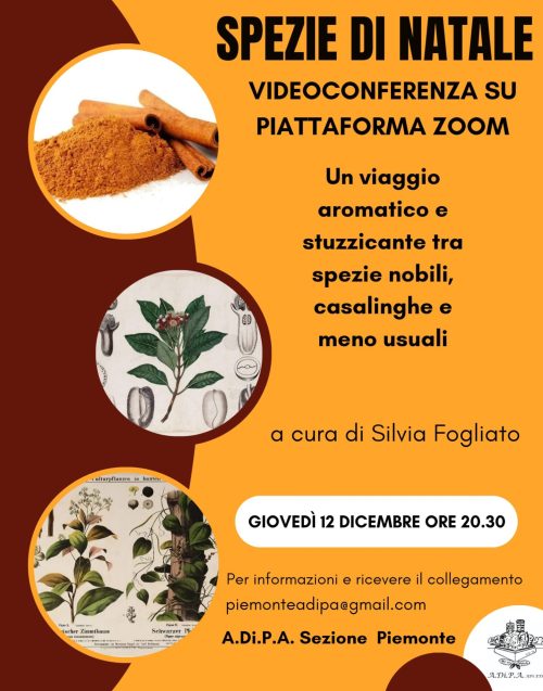 A.Di.P.A. Sezione Piemonte presenta: “SPEZIE di NATALE” – conferenza a cura di SILVIA FOGLIATO