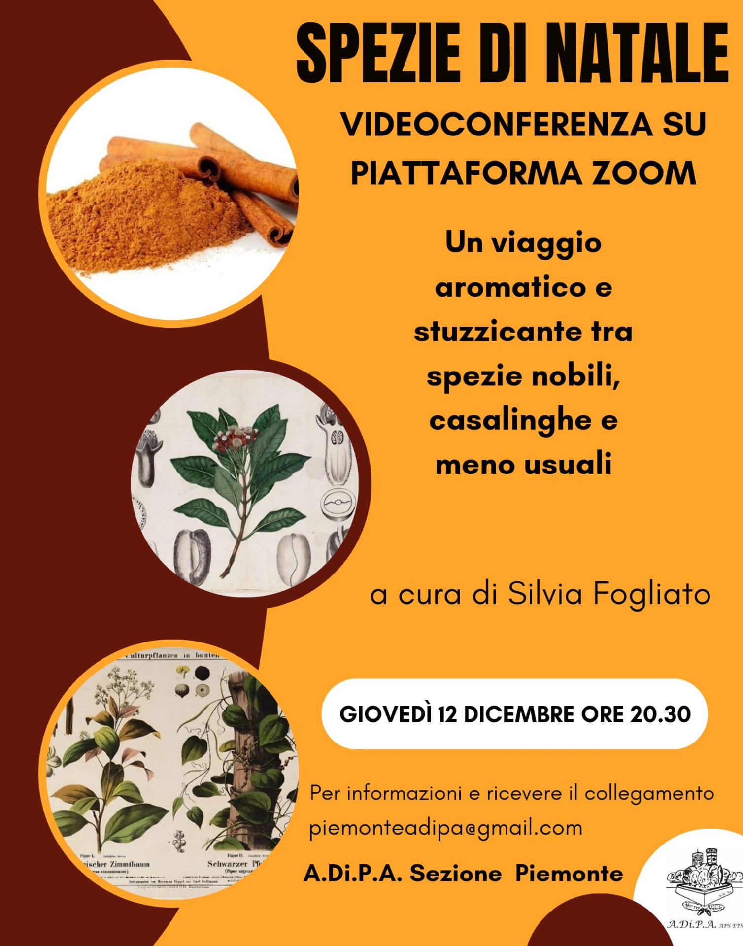 A.Di.P.A. Sezione Piemonte presenta: “SPEZIE di NATALE” – conferenza a cura di SILVIA FOGLIATO