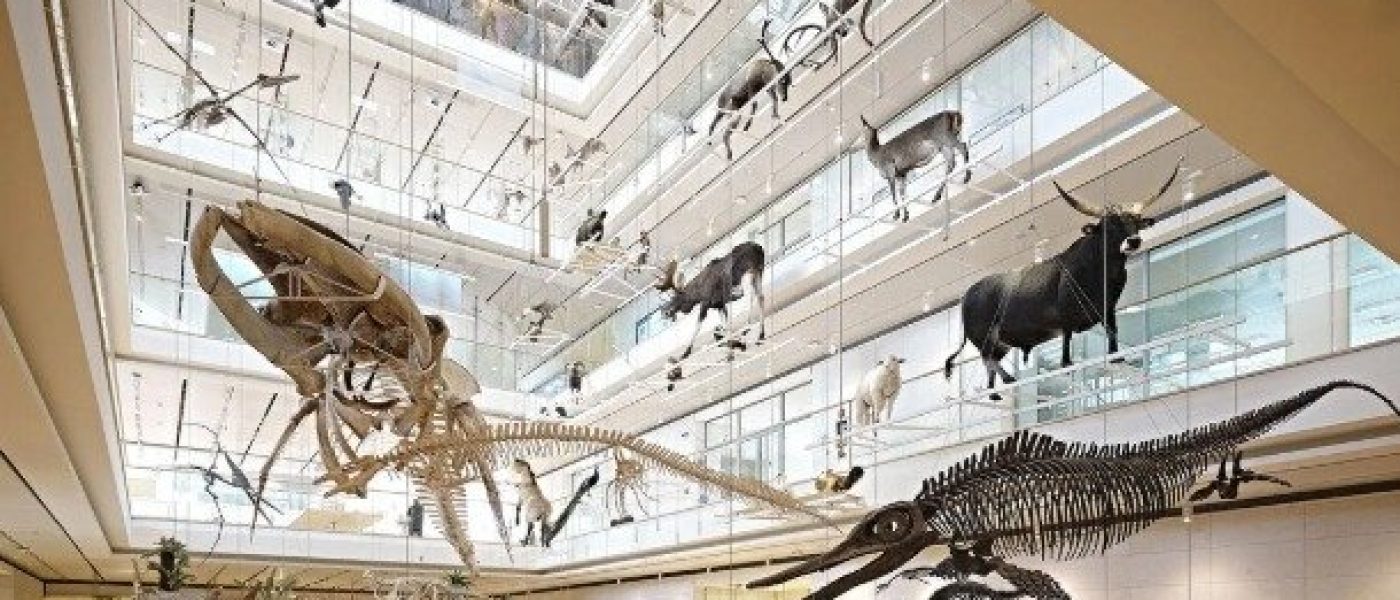 A.Di.P.A. Sezione Piemonte: un viaggio nel passato della flora piemontese