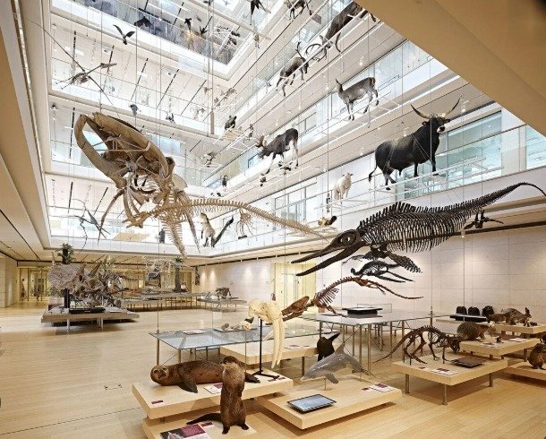 A.Di.P.A. Sezione Piemonte: un viaggio nel passato della flora piemontese