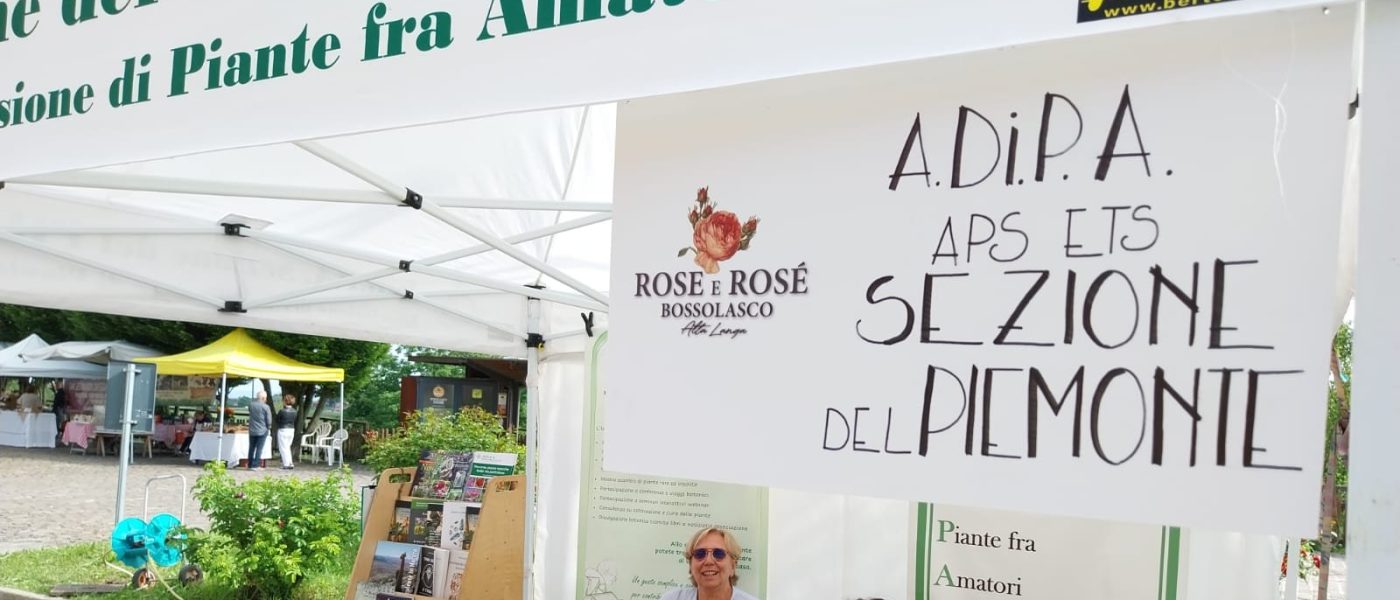 ” Rose e Rose’ ” per A.Di.P.A. Sezione Piemonte