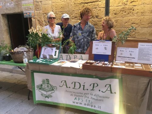 A.Di.P.A. Sezione Puglia a la “Notte Verde”