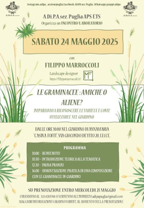 Conferenza-laboratorio a cura di A.Di.P.A. Sezione Puglia: “Graminacee: amiche o aliene”?